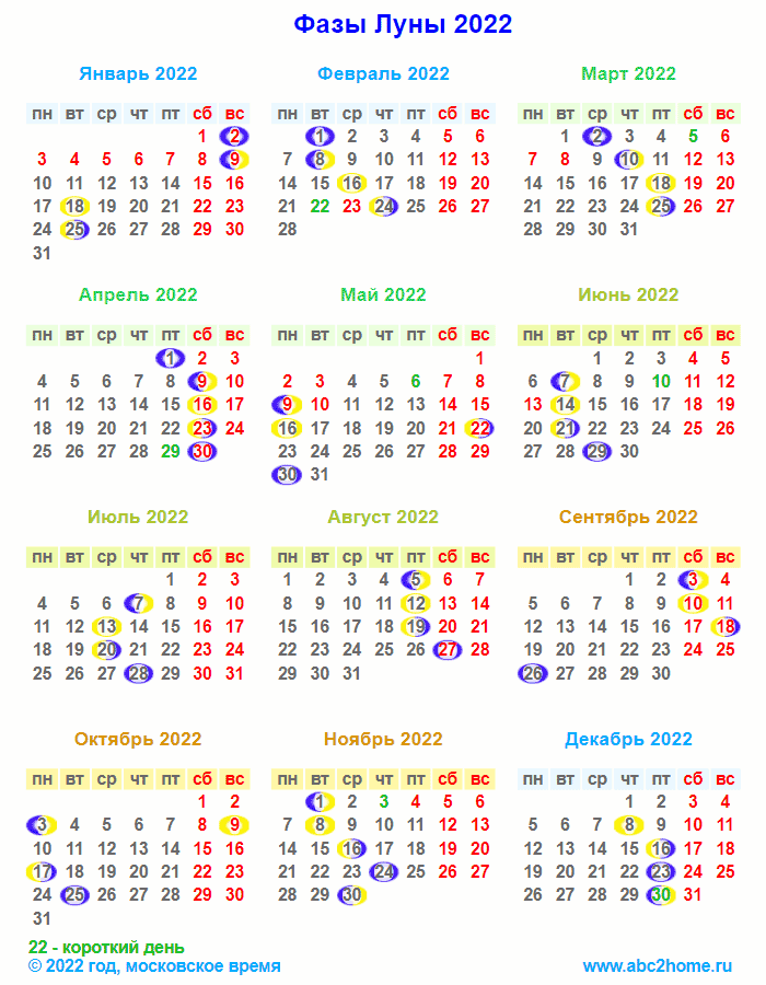 Фото Апрель 2022 Года