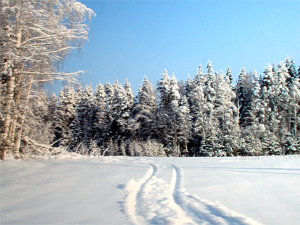 Лунный календарь на январь 2015