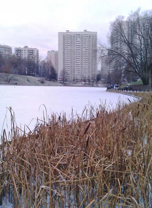 Зима в Москве