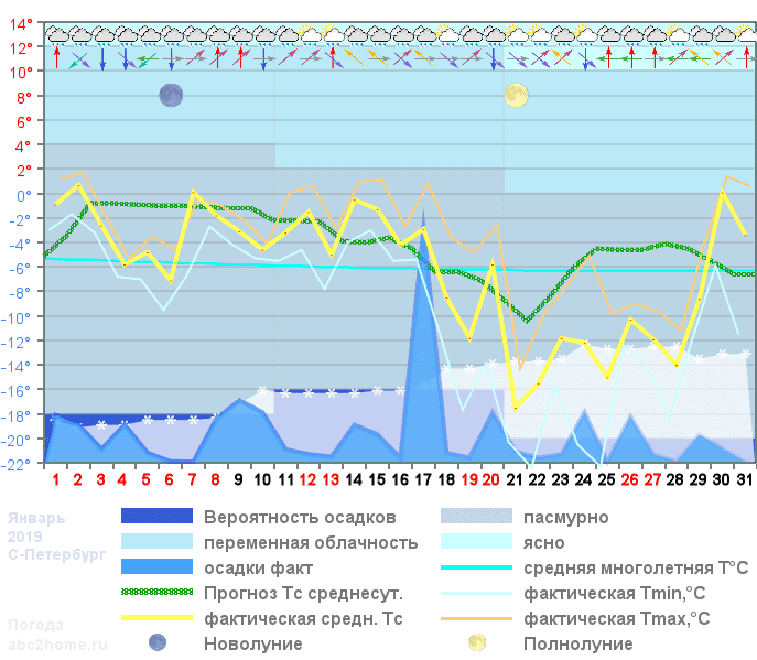График температуры январь 2019 Spb