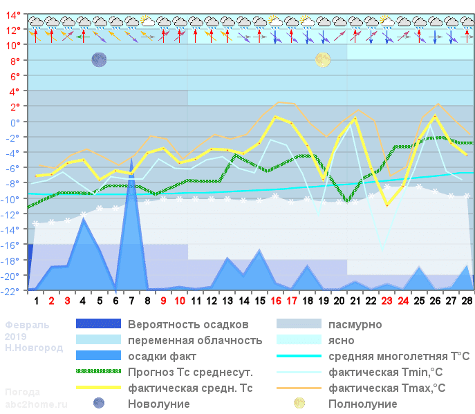 График температуры февраль 2019