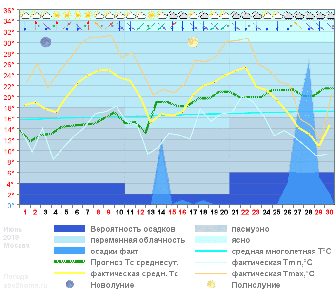 График температуры июнь 2019, msk