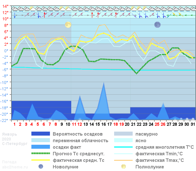 График температуры январь 2020, spb