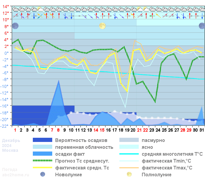 График температуры декабрь 2024
