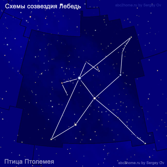 Diagram of the constellation Cygnus - Bird of Ptolemy.