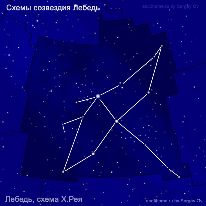 Схема созвездия Лебедь - схема Лебедя от Х. Рея