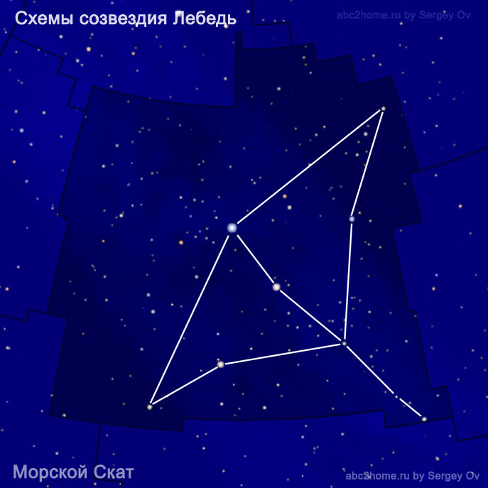 Diagram of the constellation Cygnus: Stingray