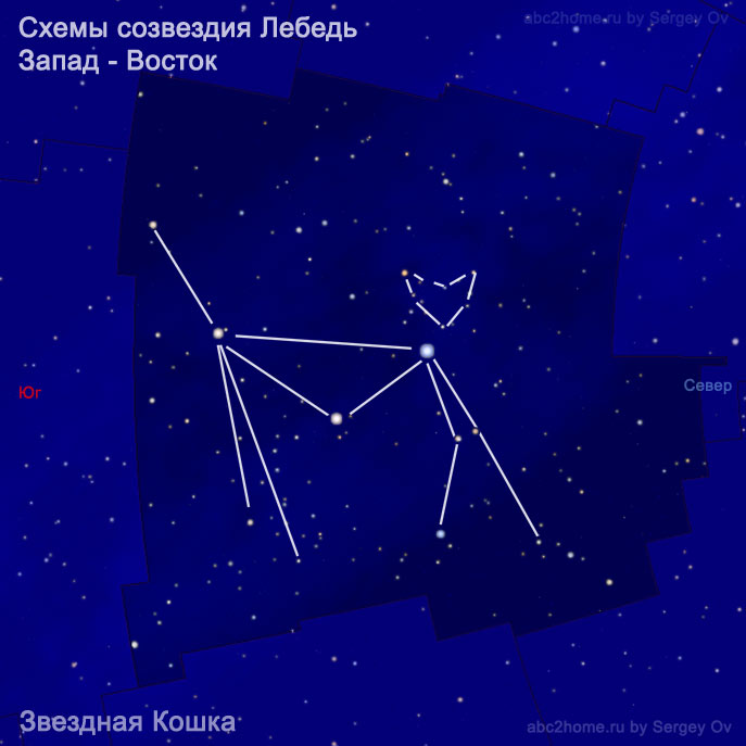 chematic drawings of the constellation Cygnus: Missis Star Cat