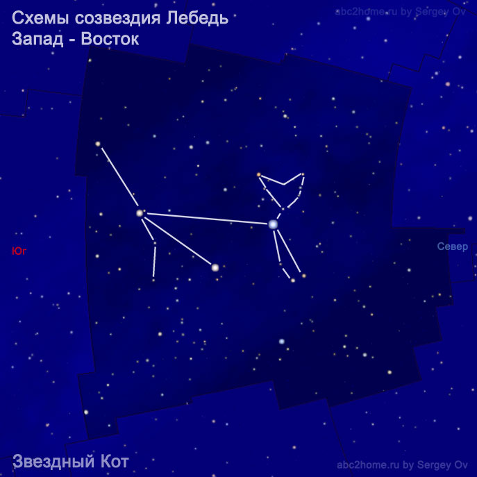 Схема созвездия Лебедь:  Звездный кот, ктенок, коот