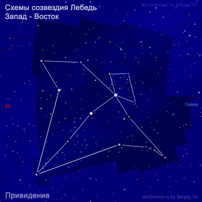 Schematic drawings of the constellation Cygnus: Ghost