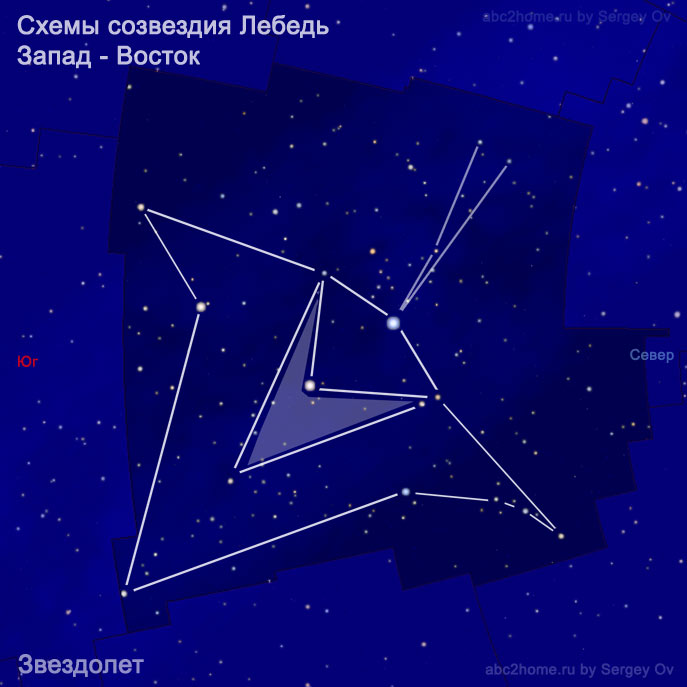 Schematic drawings of the constellation Cygnus: Starship