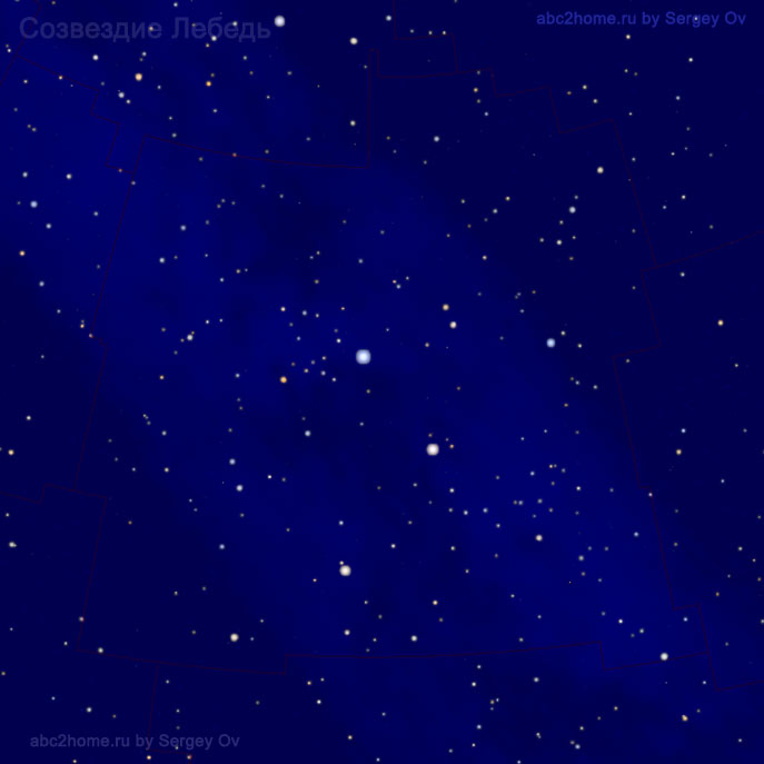 Cygnus Constellation, stars of the constellation Cygnus