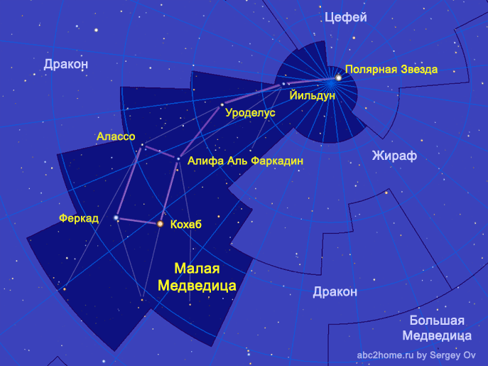 Малая Медведица - полярное созвездие и Полярная Звезда, группа Большой  Медведицы