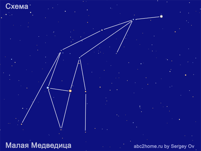 Малая Медведица - полярное созвездие и Полярная Звезда, группа Большой  Медведицы