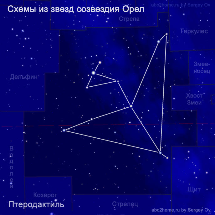 Scheme from the stars of the constellation Aquila, Pterodactyl, fig.  6.2.Aql