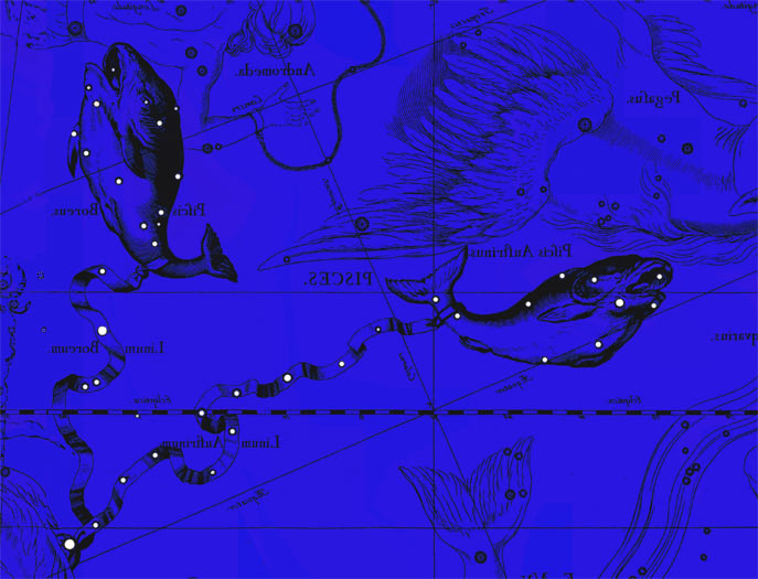 Созвездие Рыбы. Коллаж по атласу Яна Гевелия
