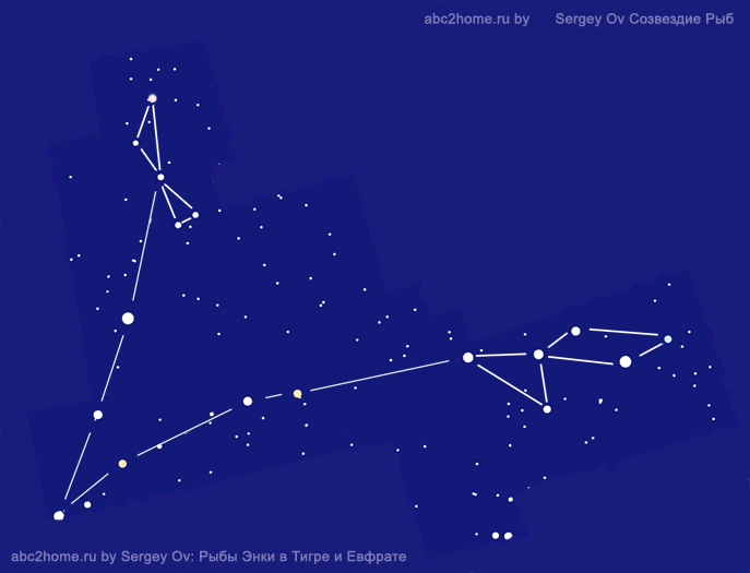 Созвездие Рыбы Фото