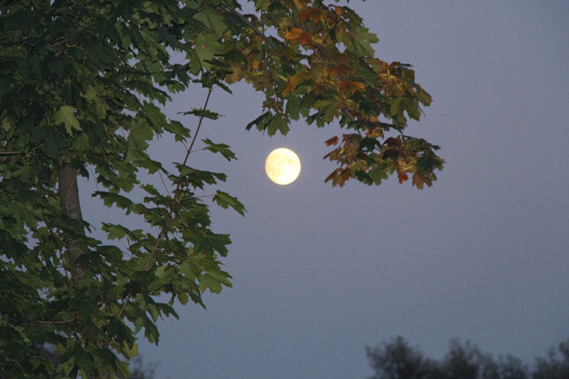 Луна перед осенним суперлунием. ©  abc2home.ru by Sergey Ov