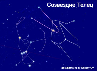 Реферат: Созвездие, в ктором я живу (созвездие Тельца)