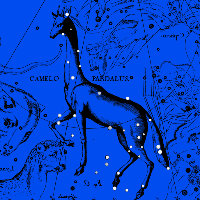 Созвездие Жираф. Коллаж по атласу Яна Гевелия