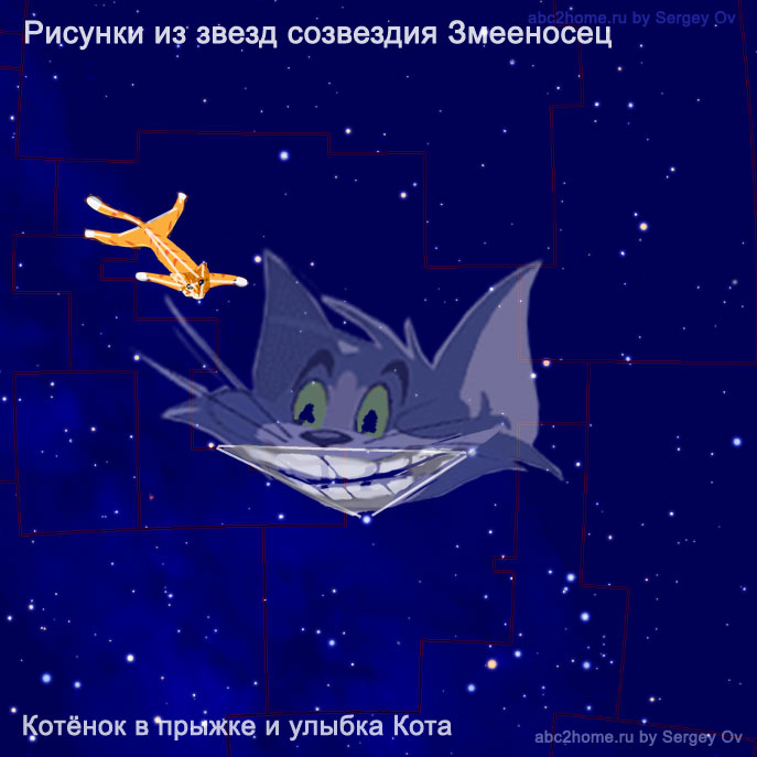 Котeнок в полёте и улыбка Чеширского Кота